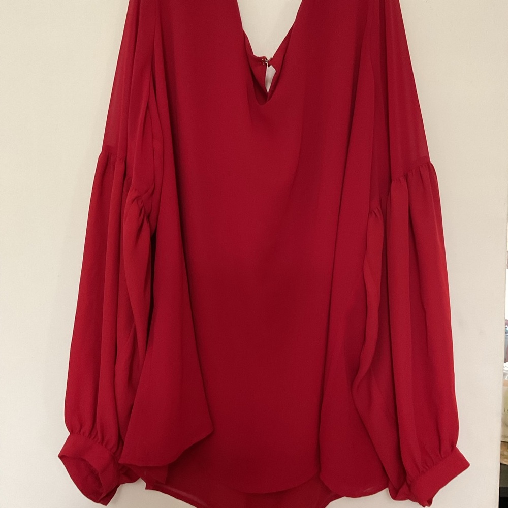 Express Red Long Sleeve V-Neck Blouse